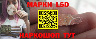a pvp Братск