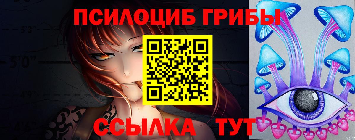 Кимры  Галлюциногенные грибы прущие грибы  хочу   Вход с VPN 